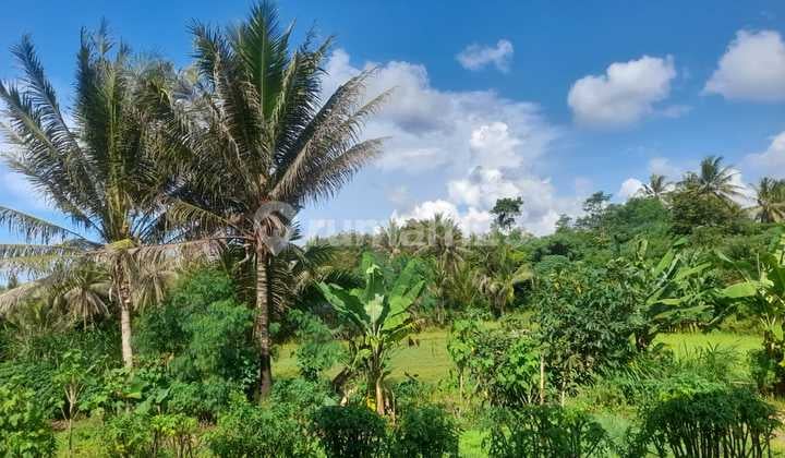 Cikerai Natural and Scenic Tourist Spot
