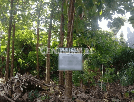 Tanah Kavling Komplek Taman Graha Asri Nego