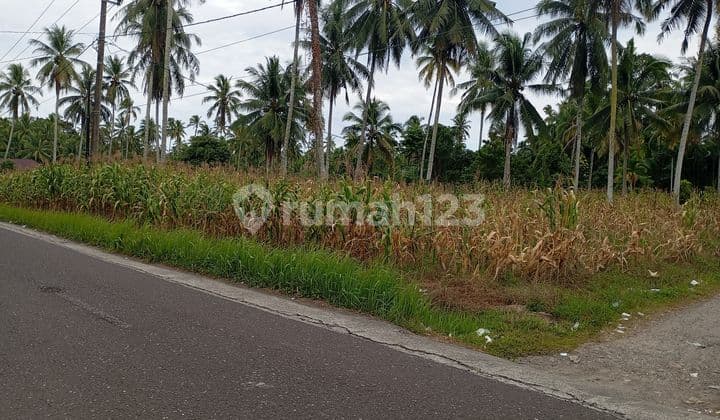 Tanah Strategis Ds Katapiang Padang Pariaman