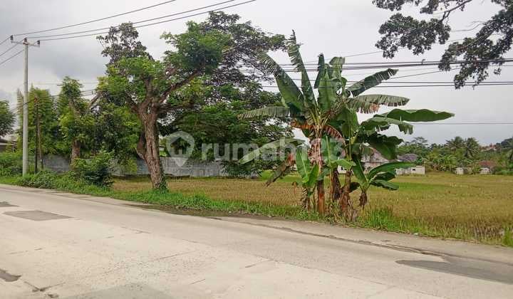 Tanah di Cilangkap Lebak Banten.3 Menit ke Exit Tol Rangkasbitung