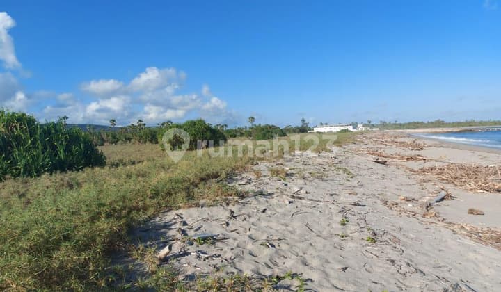 Tanah Tepi Pantai Kalala, Sumba Timur Ntt View Sunset