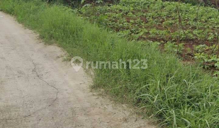 Ciwidey Cisondari Area Land Villa and Plantation