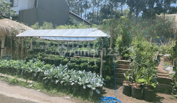 Tanah Kavling Setraduta