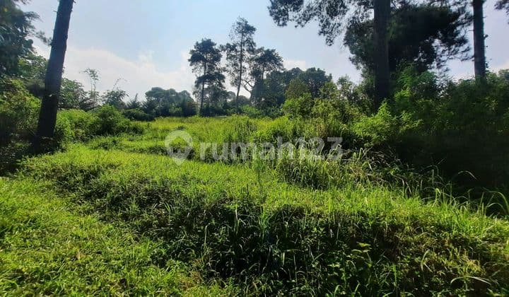 Tanah Bukit Dago Timur Shm