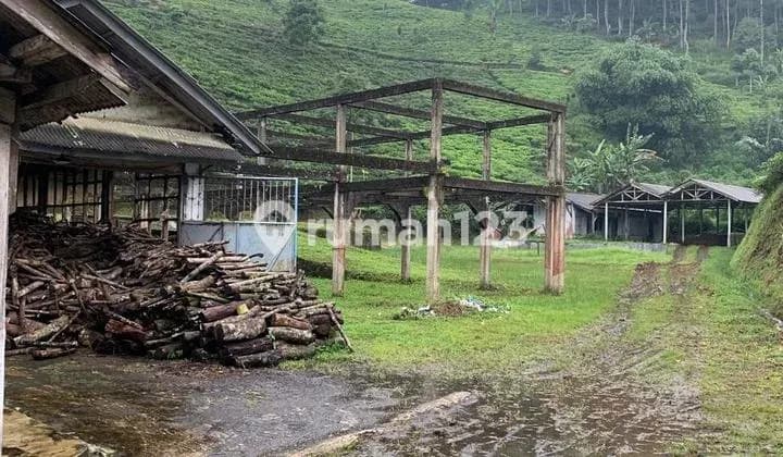 Dijual Perkebunan Teh di Majalengka