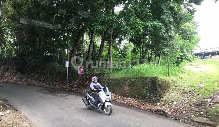 Tanah bagus Pinggir Jalan di Cisarua Nagrag cibadak sukabumi