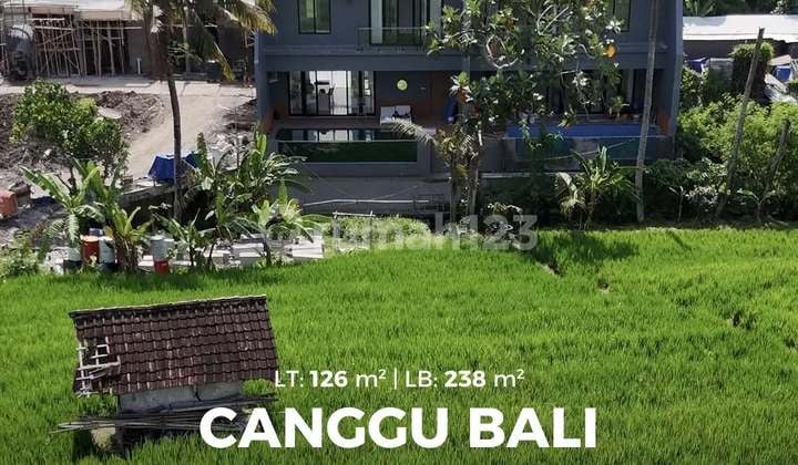 New Villa Ready to Occupy Fully Furnished View Rice Fields in Canggu Bali