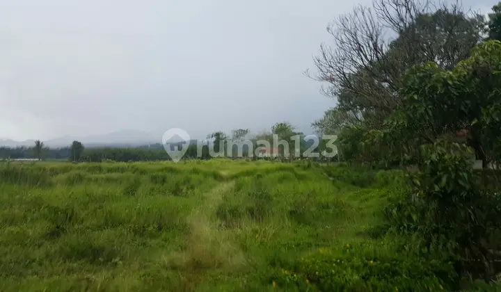 REPOSISI HARGA Tanah Dijual , Jl. Karakal, Ciawi, Bogor, Dekat Jambu Luwuk Resort