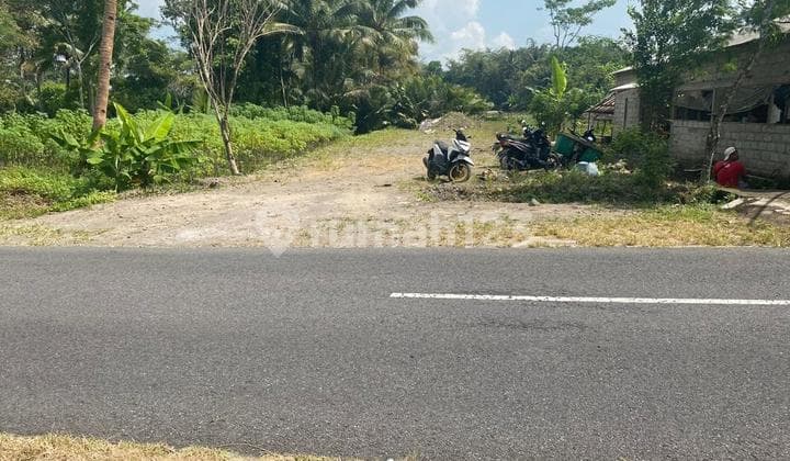 Tanah Murah Butuh Cepat Terjual Pindah Luar Kota Area Bagunkerto Turi
