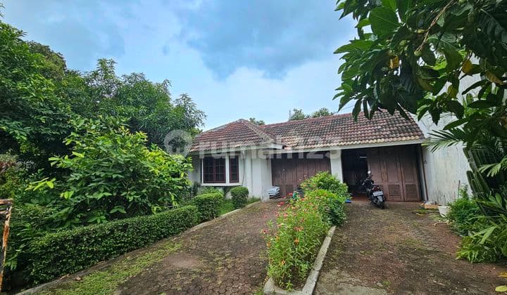 Rumah Taman Cilandak di Kelilingi Tanaman Hijau, Jakarta Selatan
