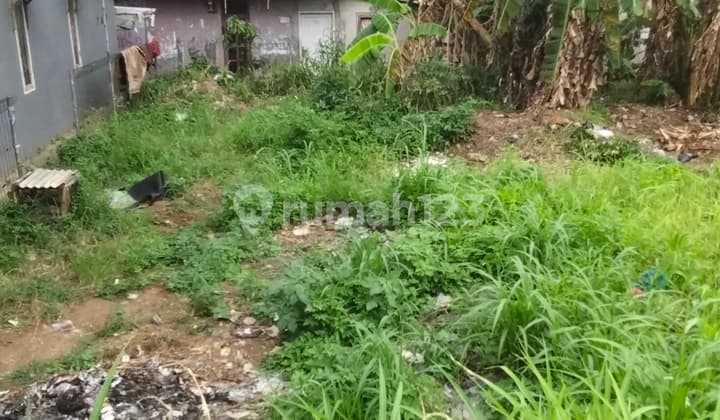 Lahan Cocok Buat Rumah Dan Investasi Kontrakan Di Pancoran Mas