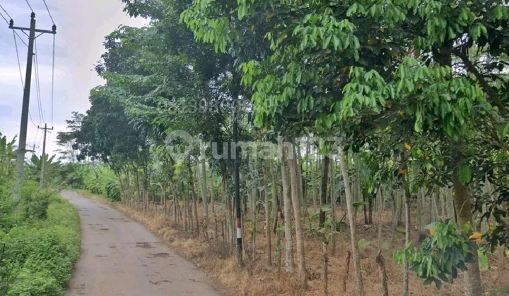 Tanah Industri di kabupaten Batang dekat PLTU dan Tol Tanah Industri di kabupaten Batang dekat PLTU dan Tol