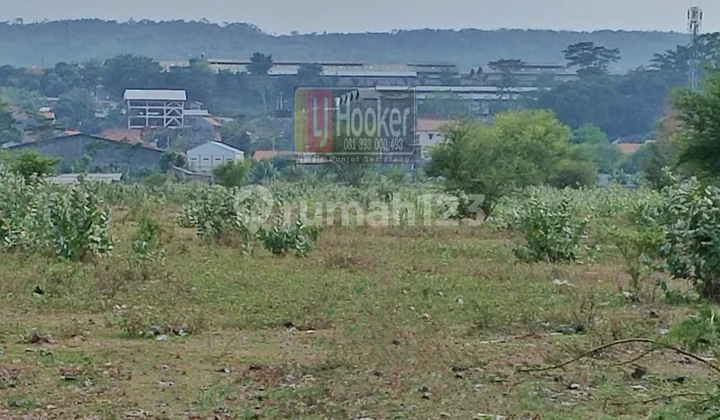 Industrial land on Semarang Kendal Road near Mangkang Toll Gate. Industrial land on Semarang Kendal Road near Mangkang Toll Gate.
