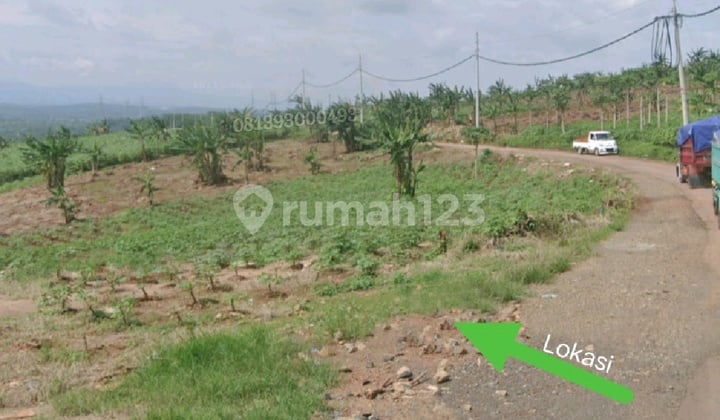 Tanah di kawasan peruntukan industri Batang dekat Tol