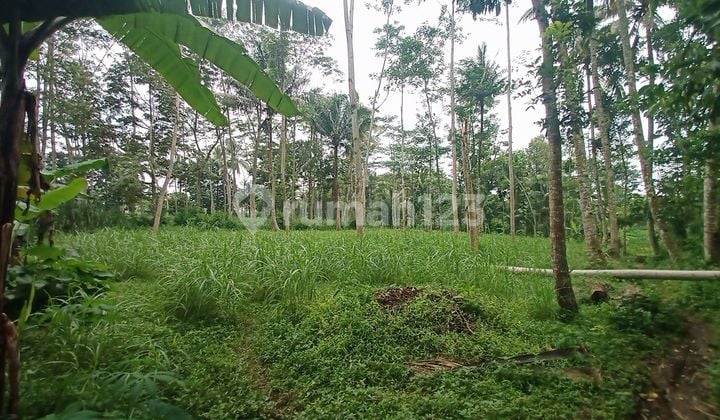 Tanah Industri Luas 10ha @ Boyolali Raya Semarang - Solo