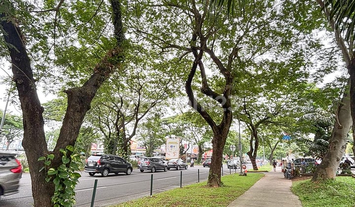 Kavling Komersil Alam Sutera