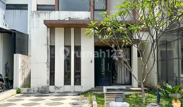 Foresta Cluster Foglio BSD City