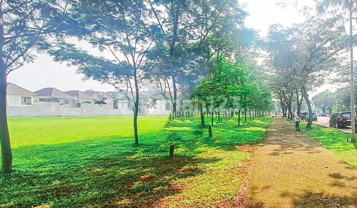 Kavling Komersil Boulevard Alam Sutera