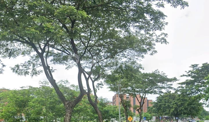 Kavling Komersil Boulevard Alam Sutera