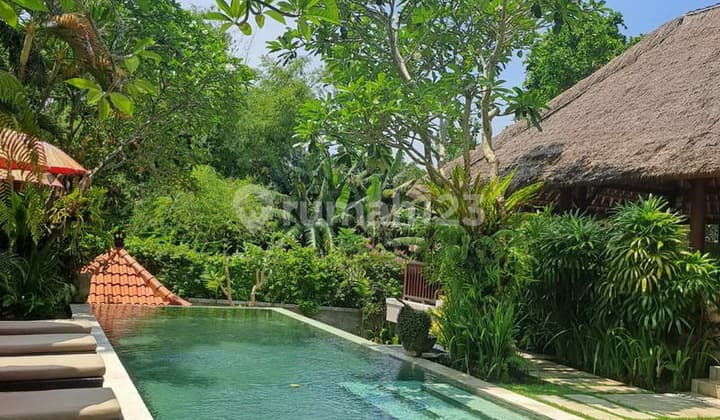 Rv-2786 Beautiful Freehold Villa Walking Distance To The Beach In Pererenan For Sale