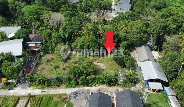 L-1069 Freehold Beachside Land Near Nuanu & Luna Beach Club