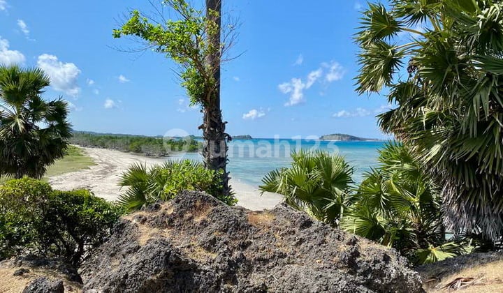 L-1163 Prime Freehold Beachfront Land On Pristine Rote Island