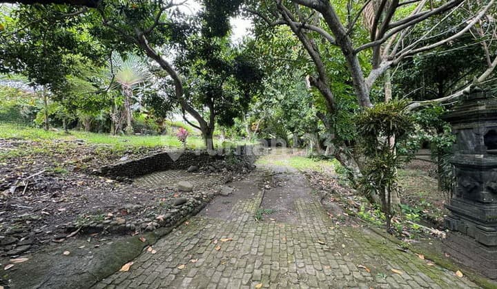 L-1121 Green Oasis In Padonan - 18.5 Are Near Canggu Hotspots