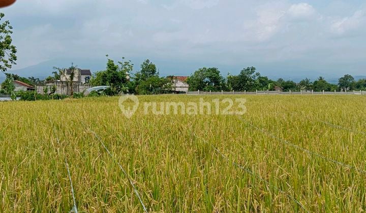 Dijual Tanah 1 Hektar Dekat Ipb Bogor Cocok Utk Perumahan,Pabrik