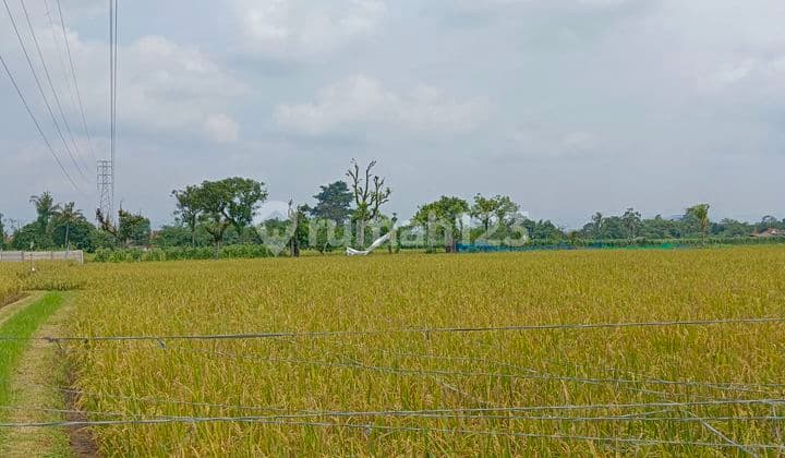 Dijual Tanah luas dan Cuan Cocok untuk Perumahan, Apartemen, Berkebun