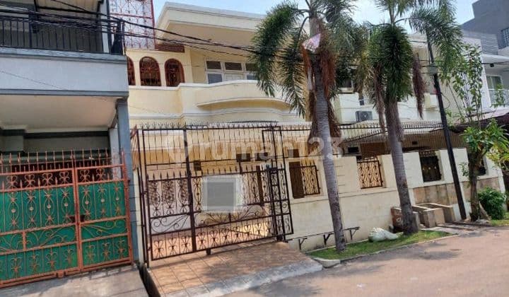 For sale Green Garden house owddwoiikw