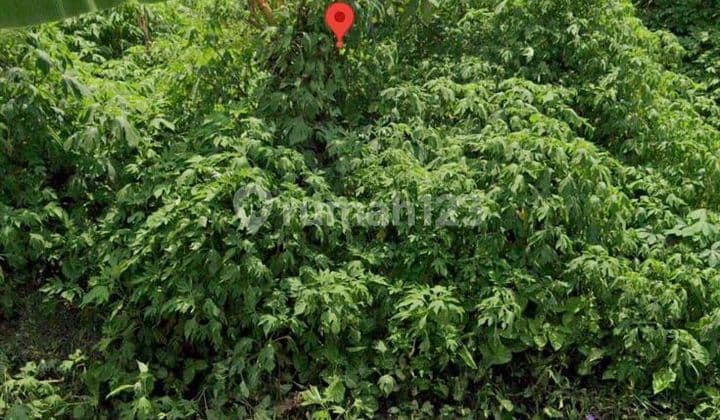 Tanah Kavling Araya Pondok Blimbing Indah Nego