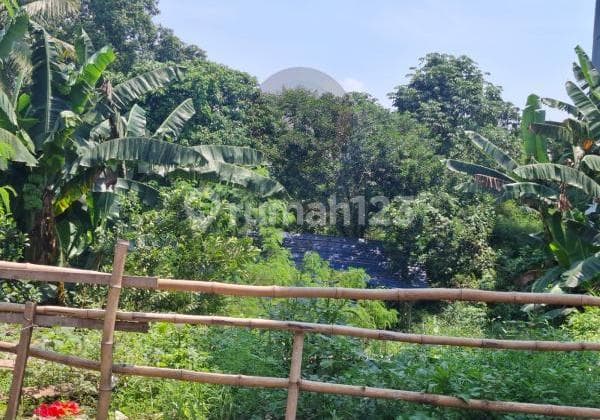 Tanah Pinggir Jalan Raya Cibubur, Bogor.