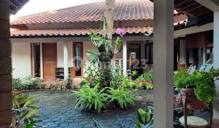 Large & Spacious House Complete With Beautiful Swimming Pool In River Park Sector 8 2642