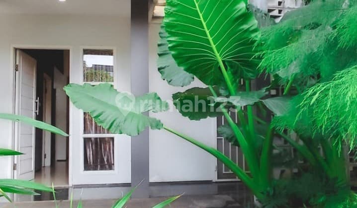 Rumah Asri dan Nyaman Termurah di Sektor 9 Bintaro | KH