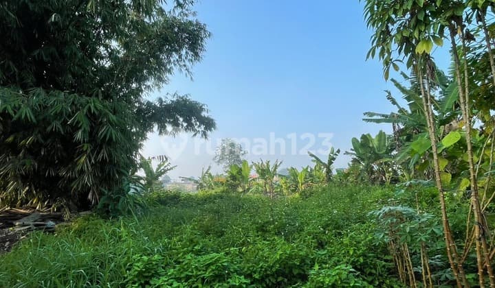For Sale: Cisauk Land Plot. Strategic Location. Area 5,800 sqm.