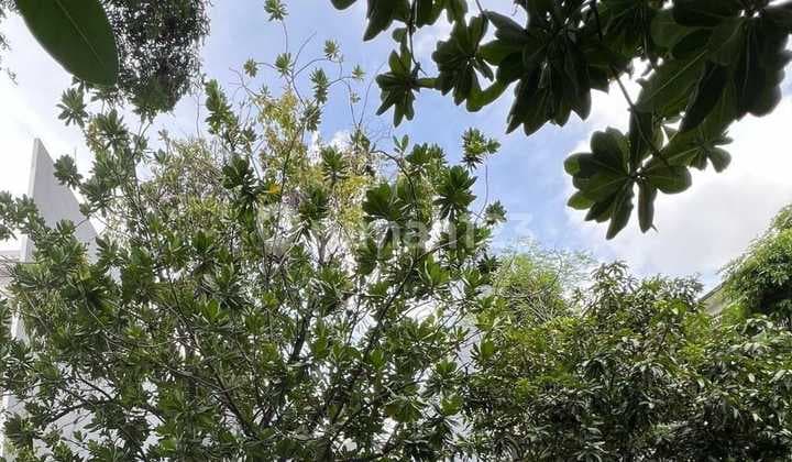 Kavling Katamaran Permai PIK 1, Lokasi Bagus dan Jarang ada