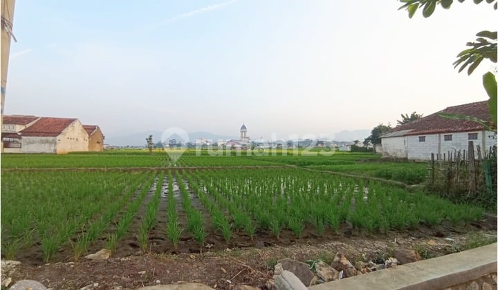 Wide Rice Field Land Near Soroja Toll Exit Bandung Suitable For Business
