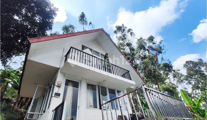 Villa Dan Tanah Luas di Dekat Bubu Jungle Ciwidey Bandung