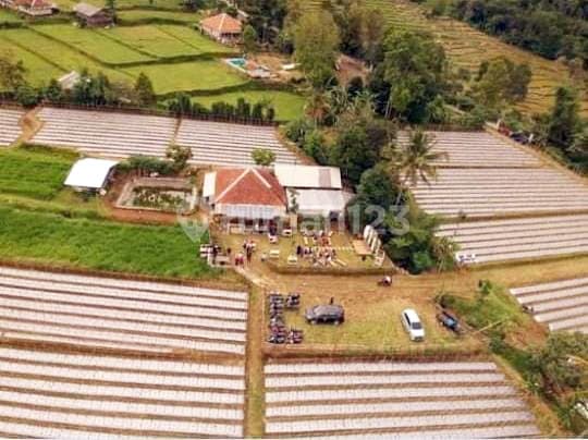 Tanah di Wanayasa Purwakarta Jawa Barat, SHM, Hadap Barat Daya... Tanah Kebun