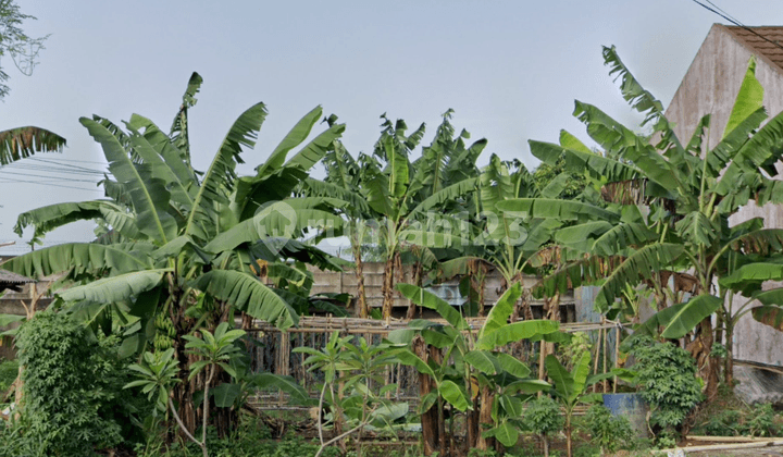 Cirendeu Dekat Pondok Cabe - Tanah Murah Townhouse - Jalan 2 Mobil