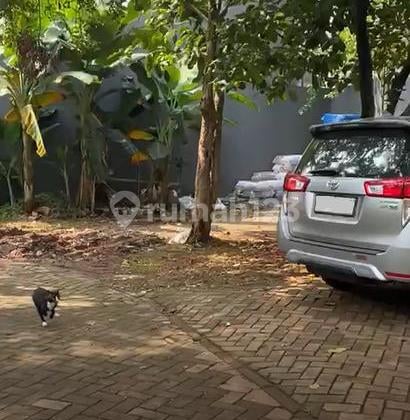 BSD Nusaloka - Tanah Murah - Jalan 2 Mobil - 3 KM ke Stasiun - 4 KM ke Tol