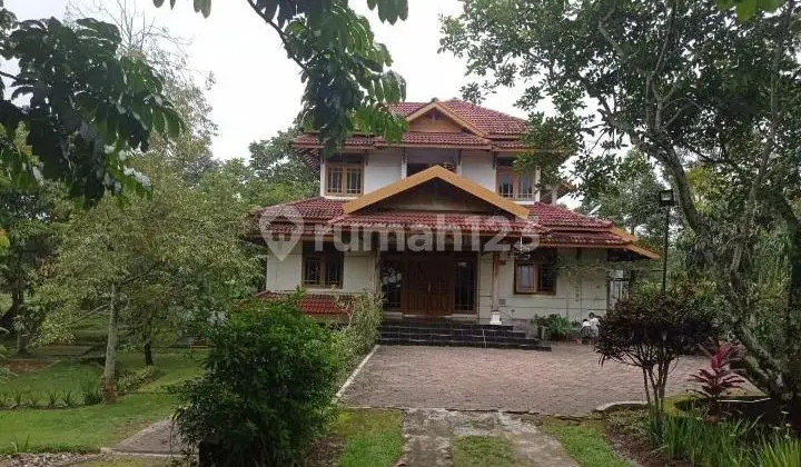 For sale land with antique building bonus.