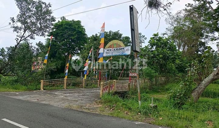 Fishing Pond and Restaurant Count Land View Rice Field