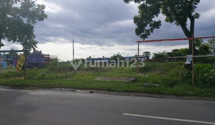 Tanah Sangat Strategis di Pinggir Jalan Bekonang Mojolaban Palur