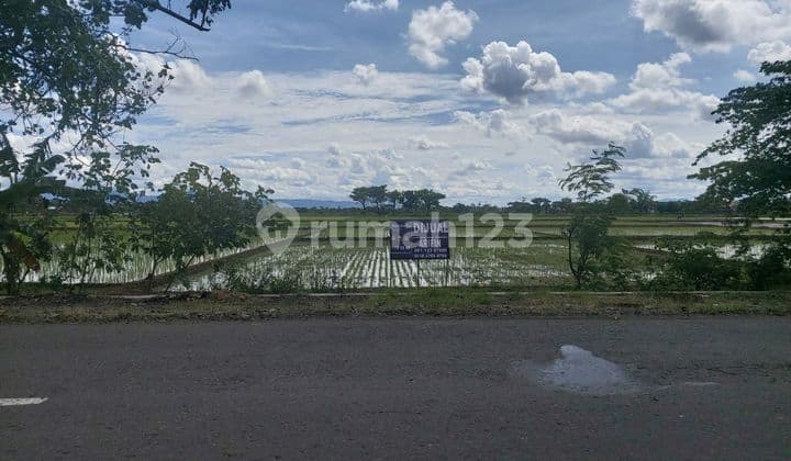 Tanah Kering Siap Bangun Di Sukoharjo Solo
