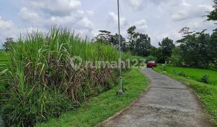 Super Cheap and Large Land! Beautiful Scenery and Clean Air in Bangsri Karangpandan, Only 750M from Solo Tawangmangu Road.