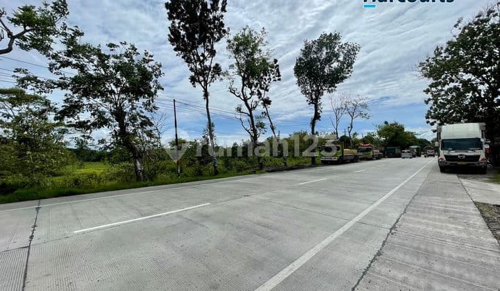 Industrial land area along Sumber Lawang highway, Sragen.