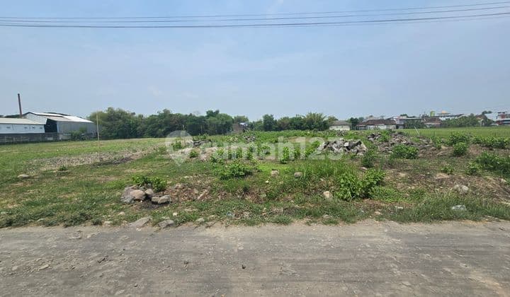 Tanah Zona Merah Untuk Industri Di Jalan Raya Solo Sukoharjo
