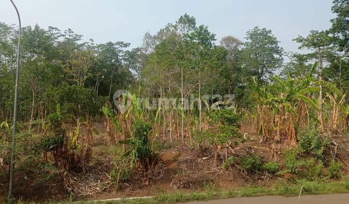 For Sale Land In Jatibarang, Jalan Suropati, Ngaliyan Semarang