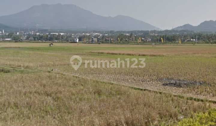 Jual Tanah Tambakboyo Ambarawa